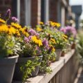 How to Create a Pollinator-Friendly Balcony Garden