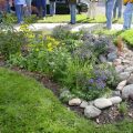 How To Create A Rain Garden On Your Balcony