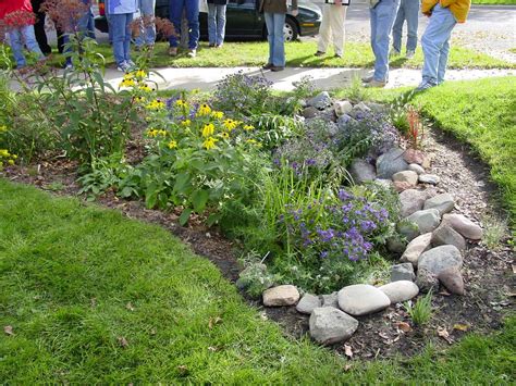 How To Create A Rain Garden On Your Balcony