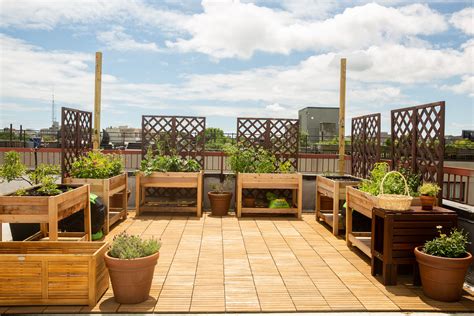 How to Create a Rooftop Garden with a Balcony Feel