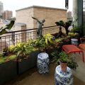 How To Create A Seasonal Balcony Garden