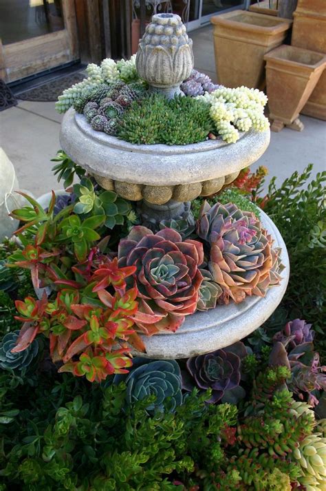 How To Create A Themed Succulent Balcony Garden