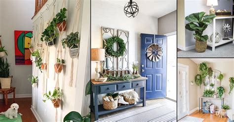 How To Create A Welcoming Entryway With Plants