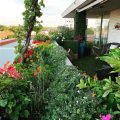 How To Create A Wildlife-Friendly Balcony