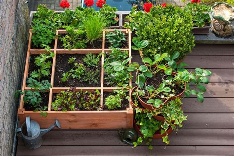 How to Create an Aromatherapy Garden on Your Balcony