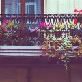 How To Create An Eco-Friendly Balcony Garden