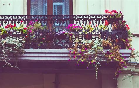 How To Create An Eco-Friendly Balcony Garden