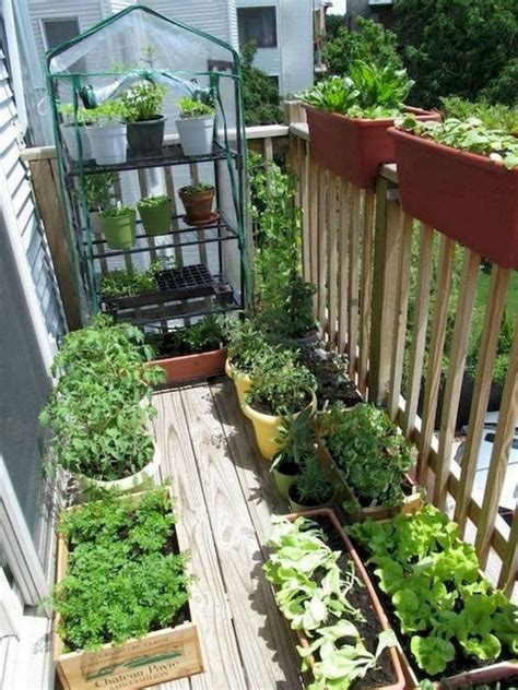 How To Create An Edible Balcony Garden