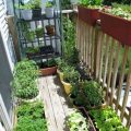 How To Create An Edible Balcony Garden