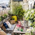 How To Create An Urban Jungle On Your Balcony