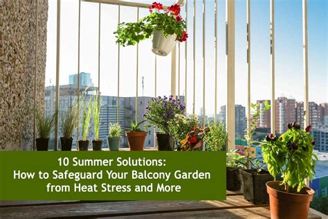 How To Cultivate A Stress-Relieving Balcony Garden