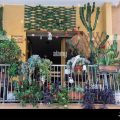 How To Deal With Balcony Plant Overcrowding