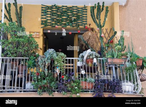 How To Deal With Balcony Plant Overcrowding