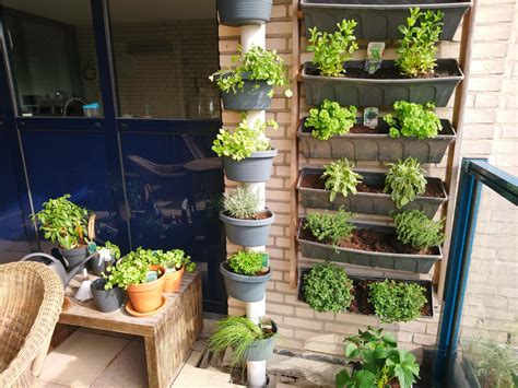 How to Design a Colorful Balcony Herb Garden