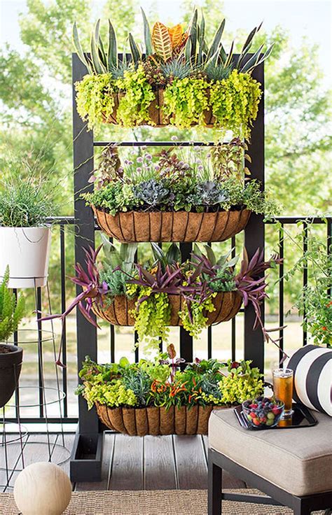 How To Enhance Your Balcony With Vertical Gardening