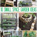 How to Enjoy Gardening Even in Small Spaces