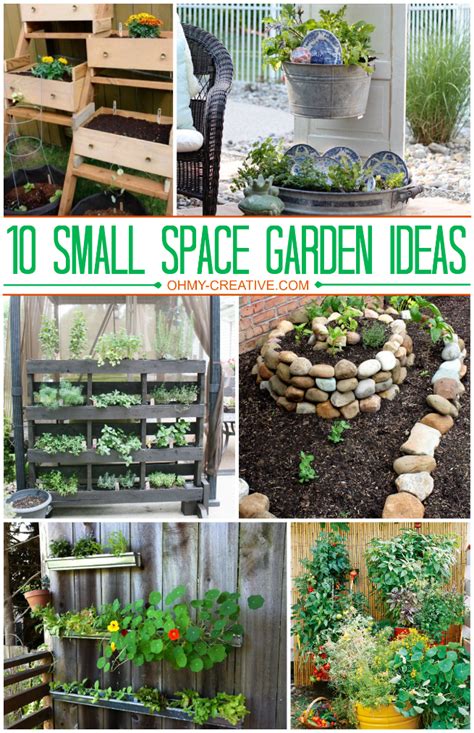 How to Enjoy Gardening Even in Small Spaces