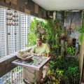 How To Grow Foliage Plants For A Lush Balcony