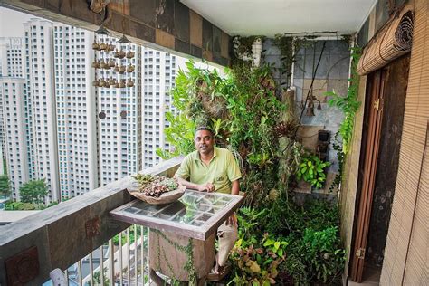 How To Grow Foliage Plants For A Lush Balcony