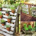 How To Grow Herbs On Your Balcony This Spring