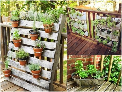 How To Grow Herbs On Your Balcony This Spring