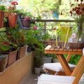 How To Grow Plants Indoors And Outdoors On A Balcony