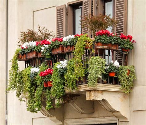 How To Grow Plants On Your Balcony In Winter