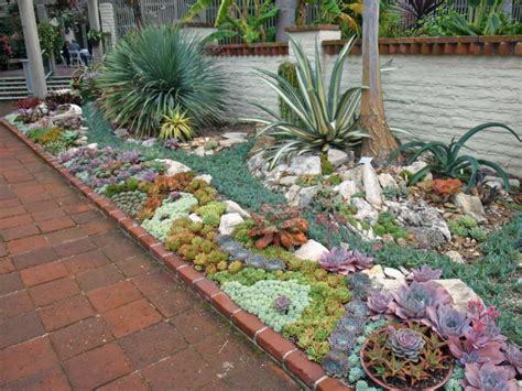 How To Grow Succulents On Your Balcony Like A Pro