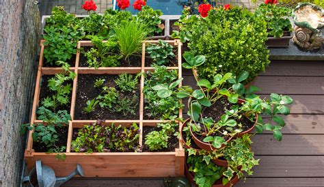 How To Grow A Shade Garden On Your Balcony