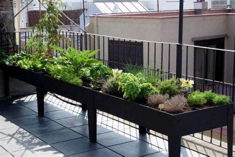 How to Host a Balcony Garden Workshop