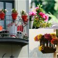 How To Incorporate Aromatic Plants Into Your Balcony Garden