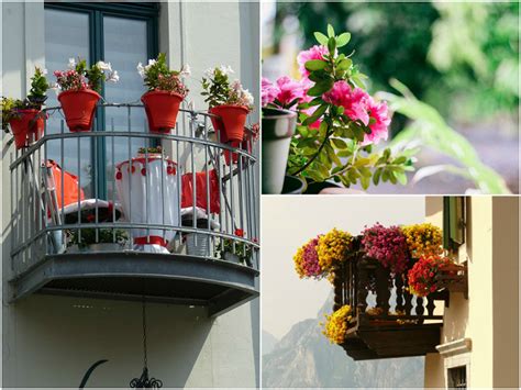 How To Incorporate Aromatic Plants Into Your Balcony Garden