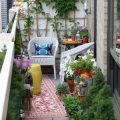 How To Incorporate Colorful Foliage Into Your Balcony