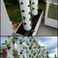 How to Incorporate Vertical Planters in Your Balcony Garden