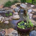 How To Incorporate Water Features In Your Balcony Garden