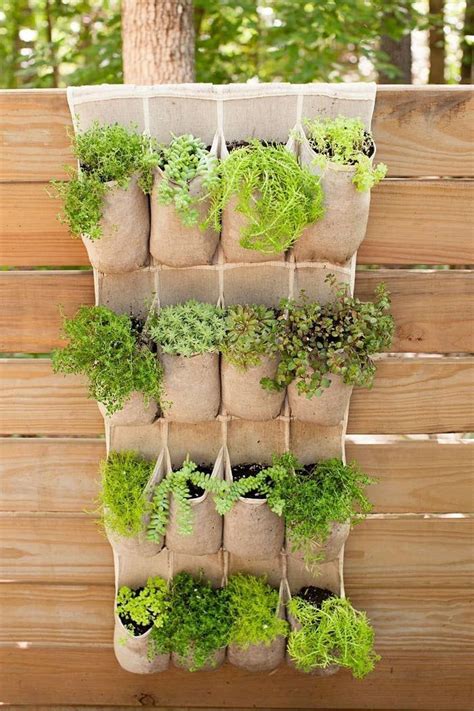 How To Keep Your Balcony Garden Organized