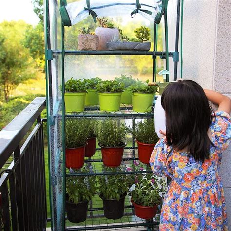 How to Keep Your Balcony Plants Healthy Year-Round