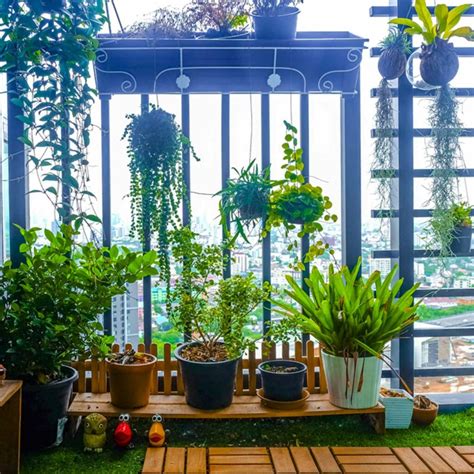 How To Layer Plants For Visual Interest On Balconies