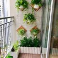 How To Layer Your Balcony Plants For Visual Impact