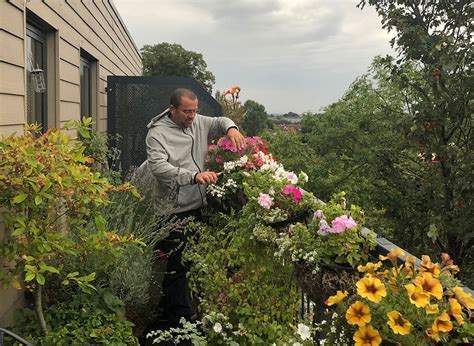 How To Maintain A Balcony Garden In Winter