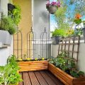 How To Make Your Balcony Garden A Sanctuary For Bees