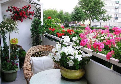 How To Make Your Balcony Plant-Friendly Year-Round