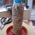 How To Make A DIY Bird Feeder For Your Balcony Garden