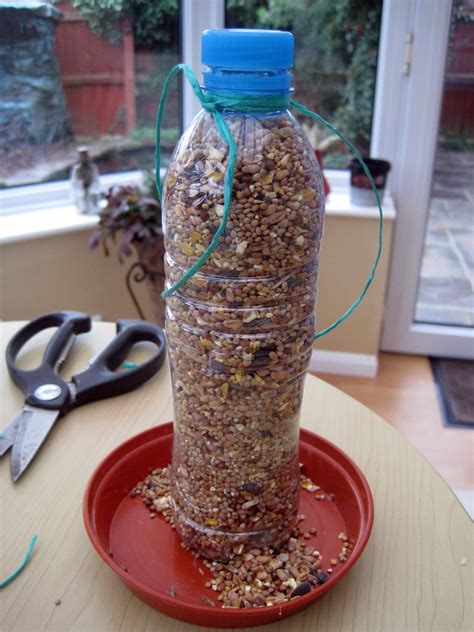 How To Make A DIY Bird Feeder For Your Balcony Garden