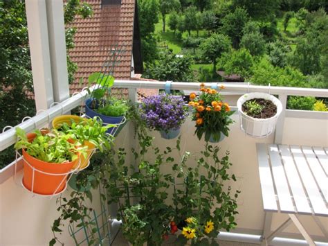 How to Manage Watering in Your Balcony Garden