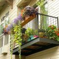 How To Mix Different Plant Types On Your Balcony