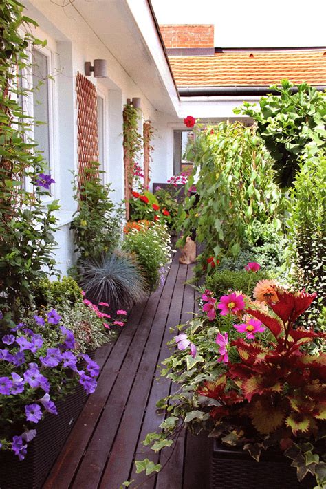 How To Mix Herbs And Flowers In Your Balcony Garden