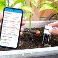 How To Monitor Soil Moisture For Balcony Plants