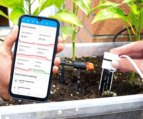 How To Monitor Soil Moisture For Balcony Plants