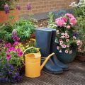 How to Organize Your Balcony Garden Supplies